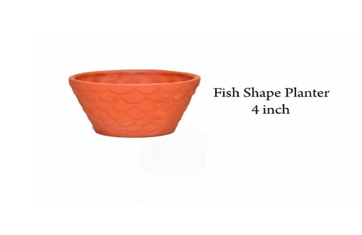Fish Shape Planter
