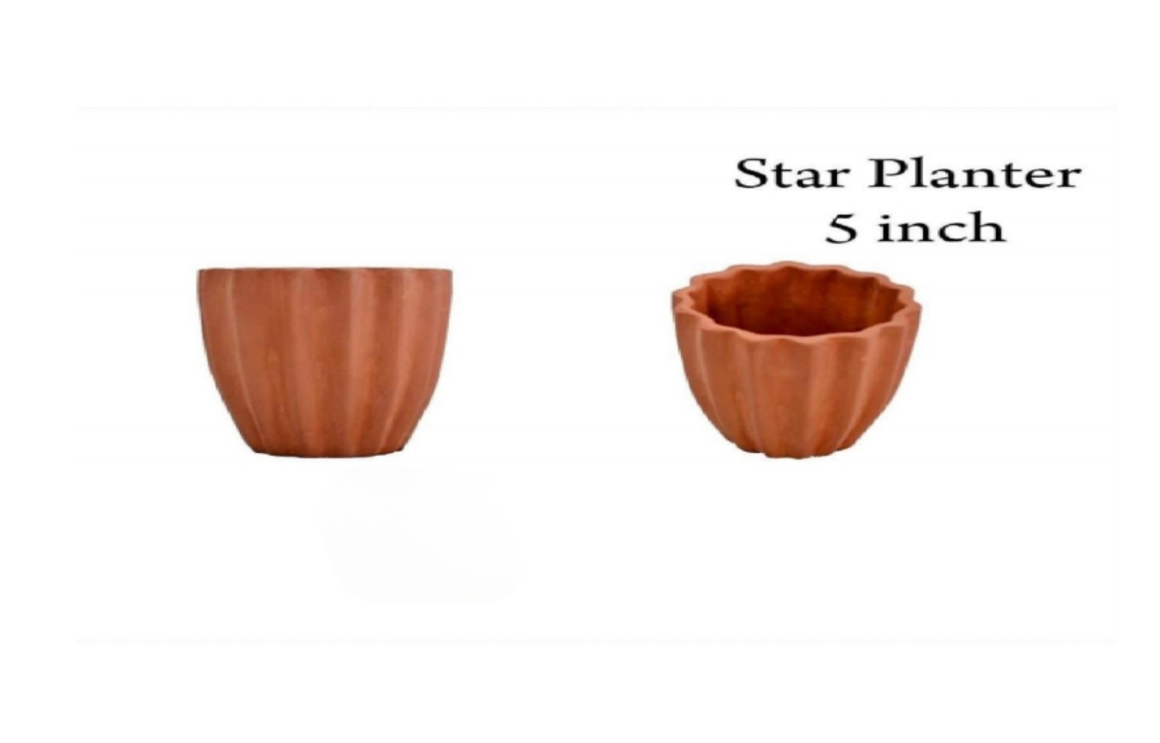 Star Planter